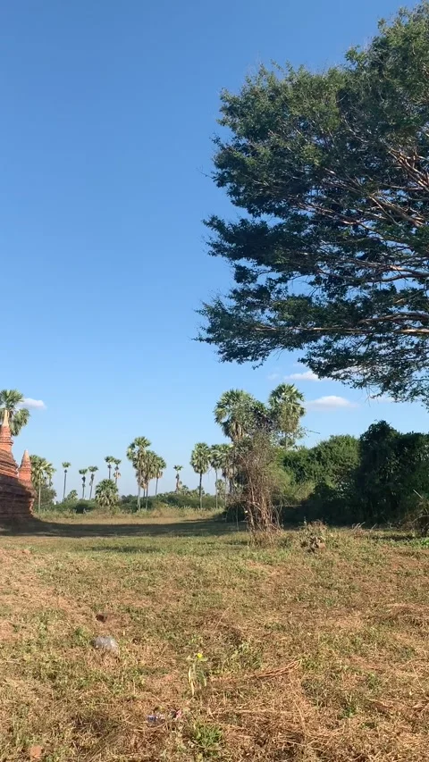 Historical brick temple in Bagan Видео 343736213