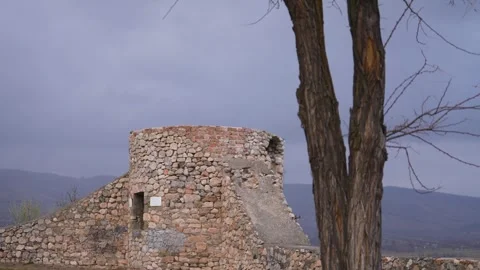 Historical Castle Sign behind the tree Video stock 265965609