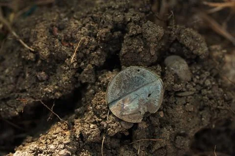 Historical discovery. 스톡 사진