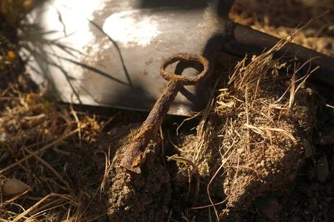 Historical discovery. 스톡 사진
