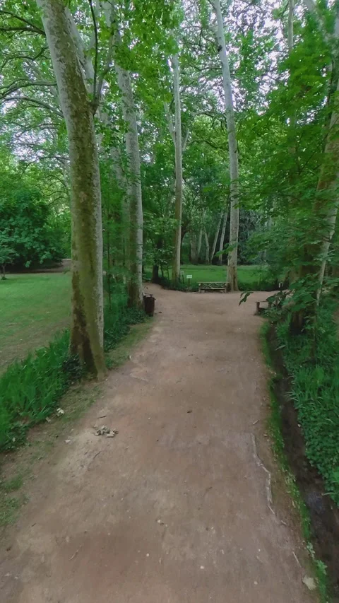 Historical Garden of Stone Monastery. Vertical format. Stock Footage 280475187