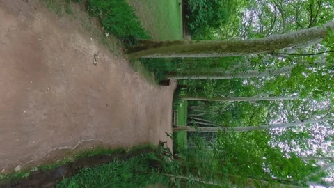 Historical Garden of Stone Monastery. Vertical format. Video stock 280671328