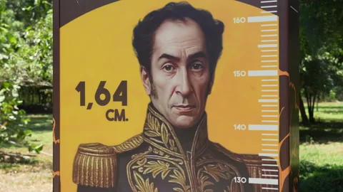 Historical Height Marker of Simón Bolívar at Quinta de San Pedro, Santa Marta Stock Footage 342322236