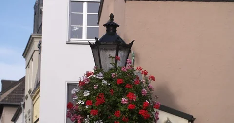 Historical lantern with a basket of geraniums red flowers,  Germany Stock Footage 96126632