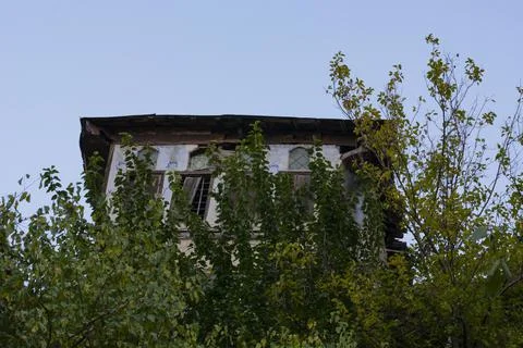 Historical mansion among green trees Stock Photos