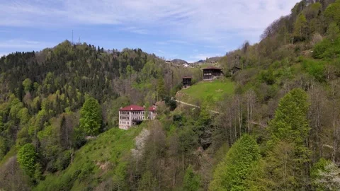 Historical Mansion in the Forest Vídeo Stock 334733373