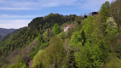 Historical Mansion in the Forest Stock Footage 334804970