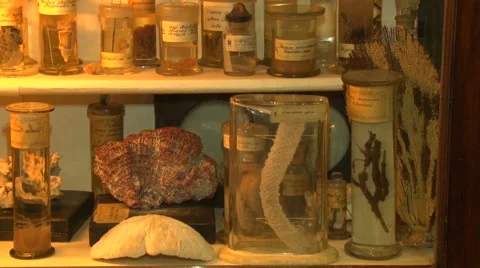 Historical medical samples Stock Footage 68138972
