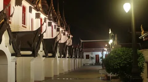 Historical Palace at night Stock Footage 10599524