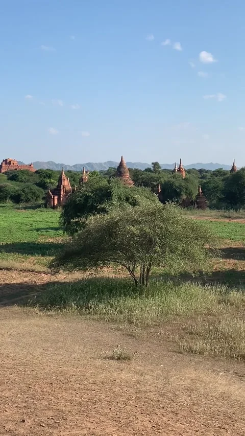 Historical park view with temples in Bagan Vidéo 343736453