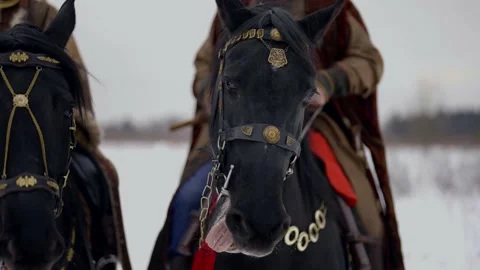 Historical reconstruction of eastern Europe in Middle Ages, people riding horse Stock-Footage 236619628