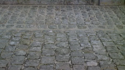 Historical reenactment of Napolean and his troops, Paris, France. Stock Footage 163174921