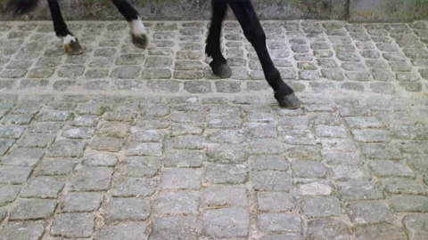 Historical reenactment of Napolean and his troops, Paris, France. Stock Footage 163174943