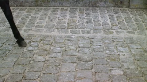 Historical reenactment of Napolean and his troops, Paris, France. Stock Footage 163174946