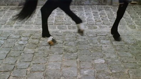 Historical reenactment of Napolean and his troops, Paris, France. Stock Footage 163174950