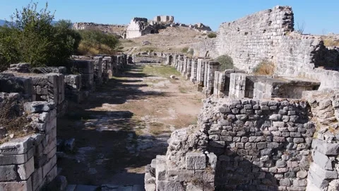 Historical Stone Ruins1 Stock Footage 249879528
