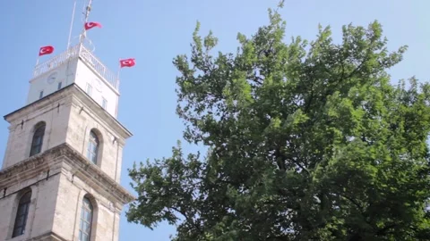 Historical stone Tophane clock tower and big green tree in Bursa Stock Footage 131373807