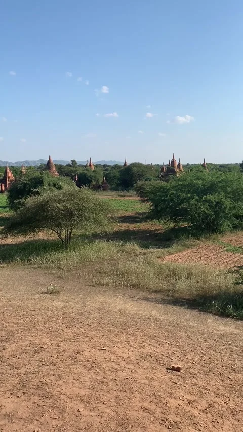 Historical temples view in Bagan Vídeo Stock 343736429