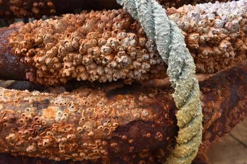 Historical trace 写真素材