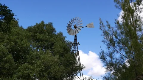 Historical windmill in the foreground trees on a farm in Australia Stock Footage 119109795