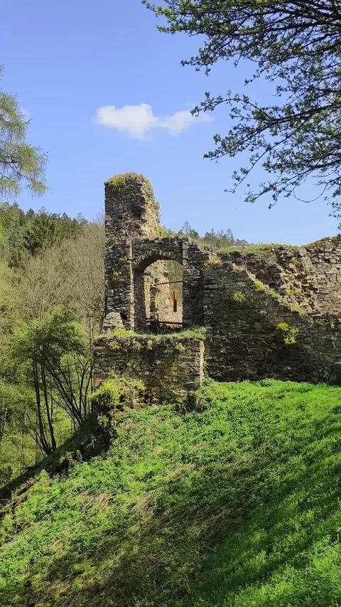 Historie ruins of the castle. Stock Footage 272166298