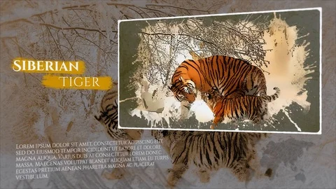 History Animals And Biography Stock After Effects