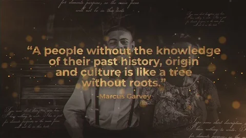 History Quotes After Effects素材