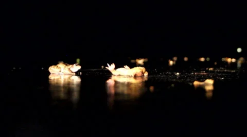 Hit by a car frog migrates on wintering Stock Footage 42663935