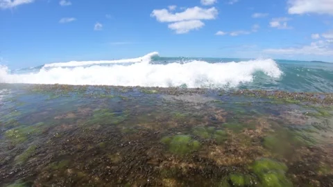 Hit by the Surf Stock Footage 331686464