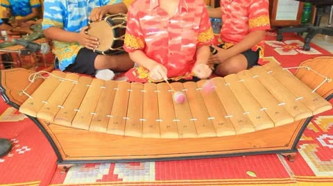 Hit the xylophone Stock Footage 12440575