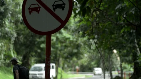 The Hitchhiker Stock Footage 85541891