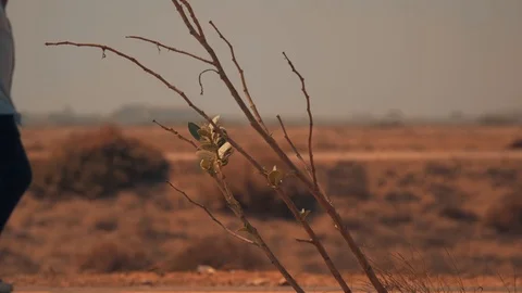 Hitchhiker looking for a ride Stock Footage 108587083