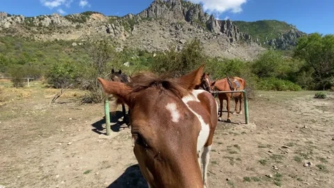 Hitching post in the mountains Video stock 144869147