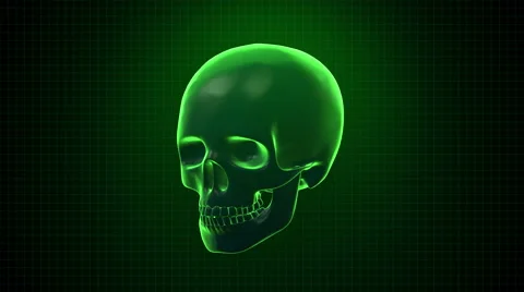 Hitech digital 3D Animation of Human skull green interface Loopable. Alpha ma Stock Footage 45657226
