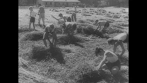 Hitler Youth work in fields and clear the ruined buildings 動画素材 109502709