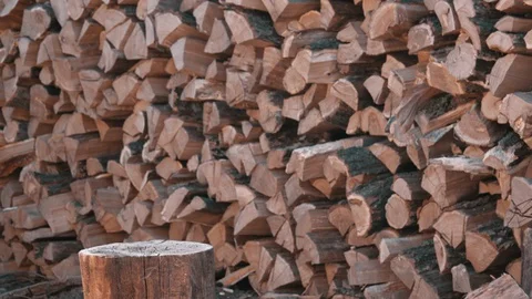 Hits an stump with an ax Stock Footage 127595573