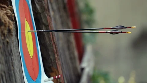 Hitting An Arrow Into A Target. Close-up. Vidéo 104113487