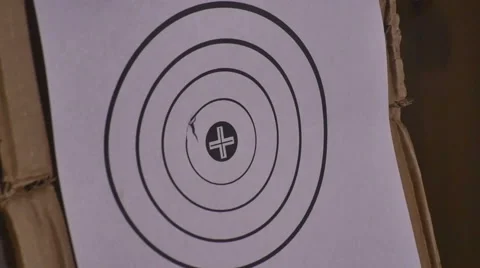 Hitting target with BB gun Stock Footage 46267528