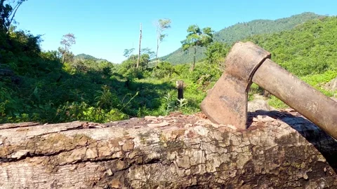 Hitting wooden trunk with axe, picking up ax by hand, concept of cutting wood Stock Footage 168636699