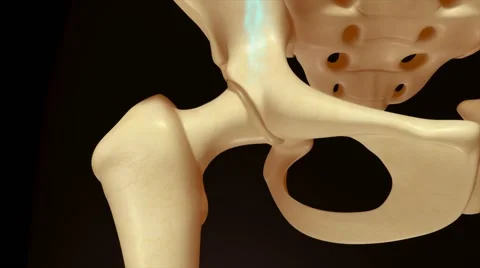 Hiuman Bone marrow Stock Footage 64581642