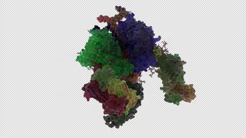 HIV-1 Env trimer in Complex with the Broadly Neutralizing Fab Stock Footage 154505965