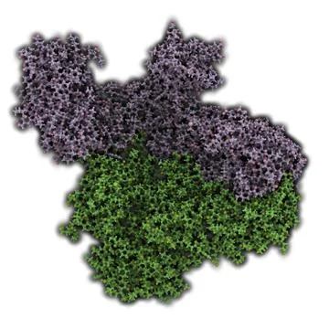 Hiv-1 reverse transcriptase enzyme, chemical structure Stock Illustration