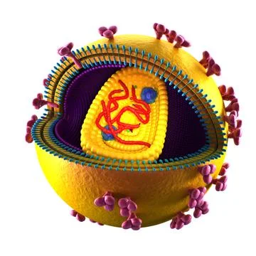 HIV Cell - isolated on white Иллюстрация