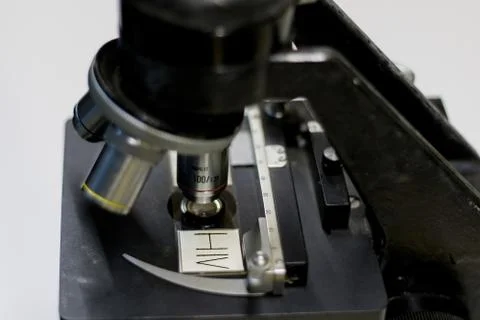 HIV virus analyzed under a microscope. Stock Photos