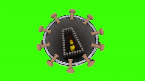 HIV virus Stock Footage 50563431