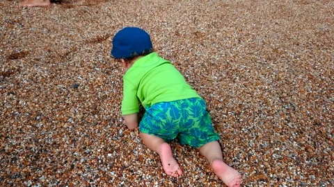 The Hive beach Stock Footage 123445288