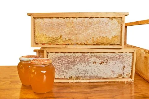 Hive. Beekeeping concept. Stock Photos