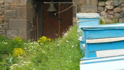 Hive of Bees Inside Monastery in Armenia 1 Vidéo 90097154