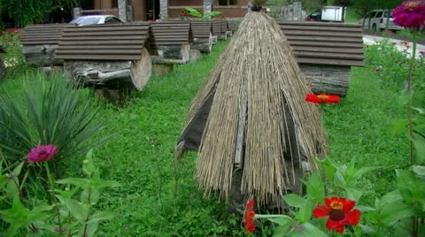 Hive Stock Footage 27118712