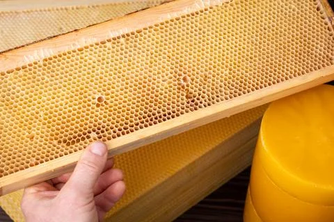 Hive frame with wax Stock Photos